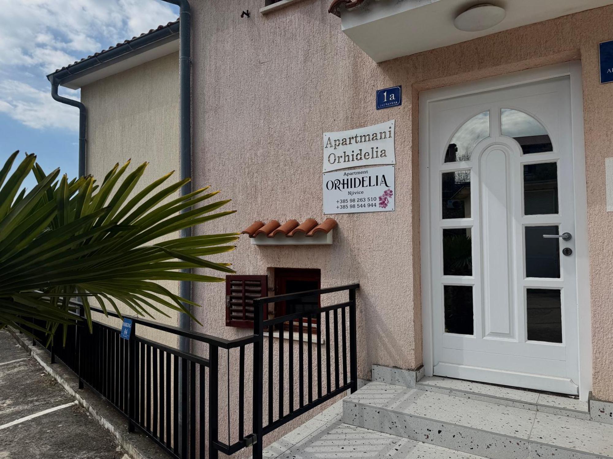 Orhidelia Apartment